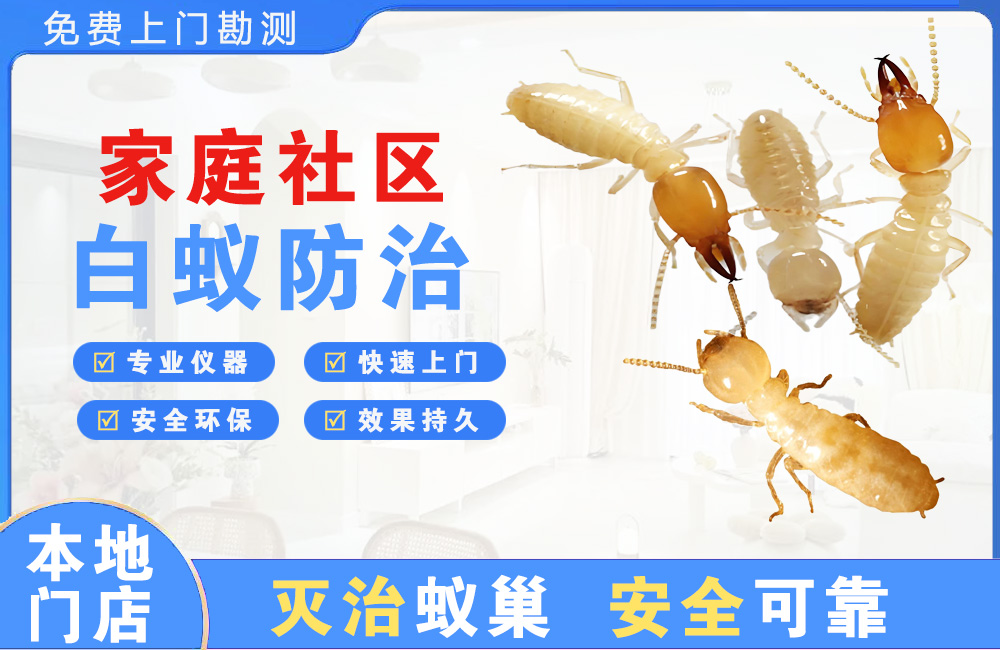 瑞金家庭社区白蚁防治