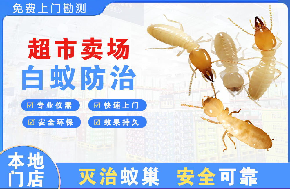 瑞金超市卖场白蚁防治