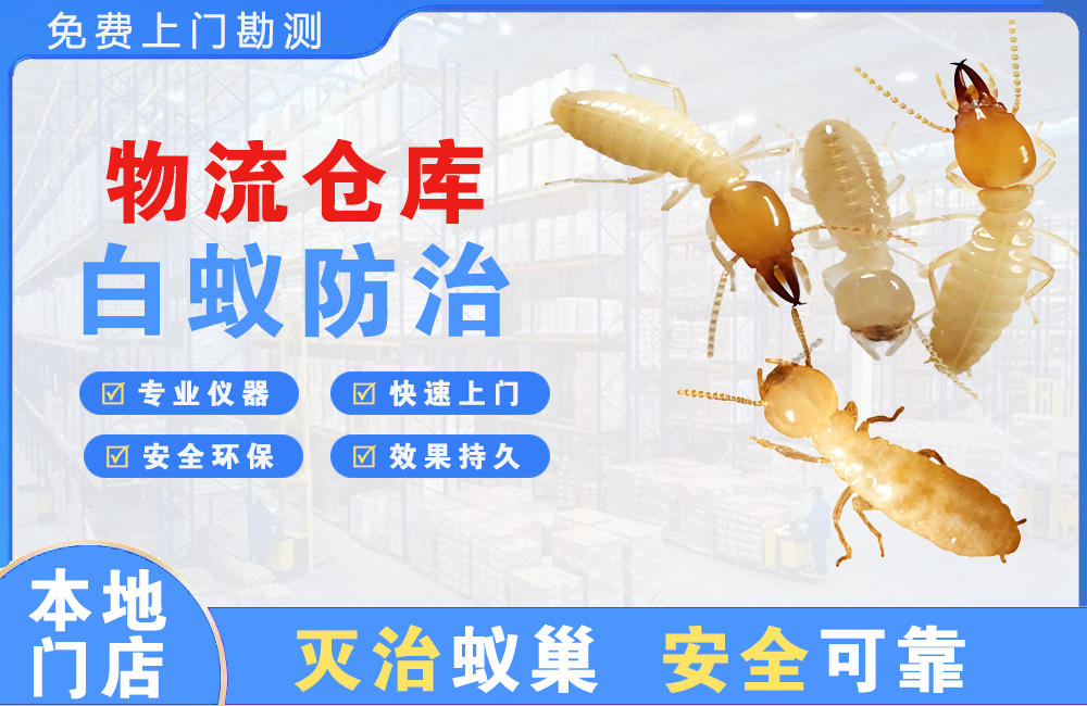 瑞金物流仓库白蚁防治