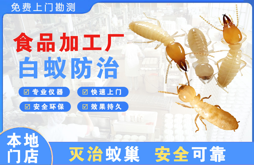 瑞金食品加工厂白蚁防治