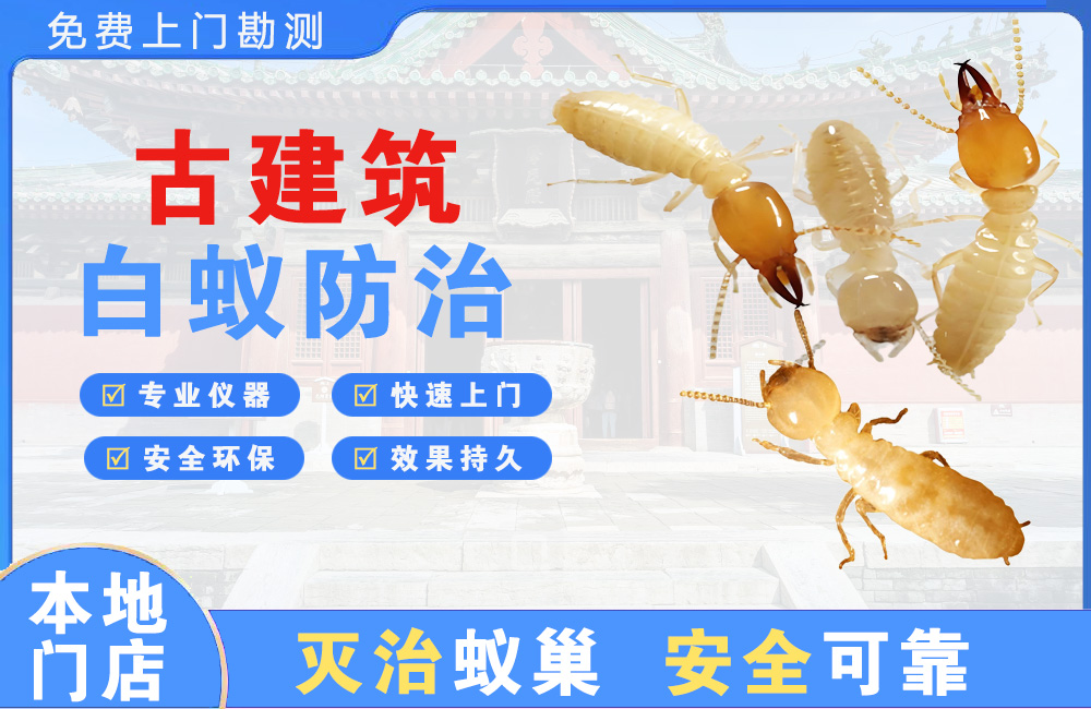 瑞金古建筑白蚁防治