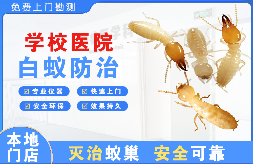瑞金学校医院白蚁防治