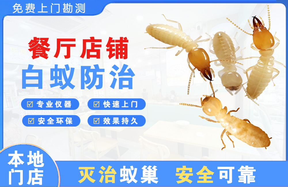 瑞金餐厅店铺白蚁防治